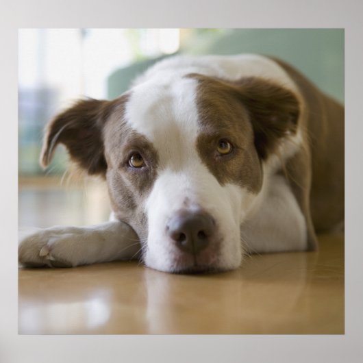 最高の友 ポスター (正面)