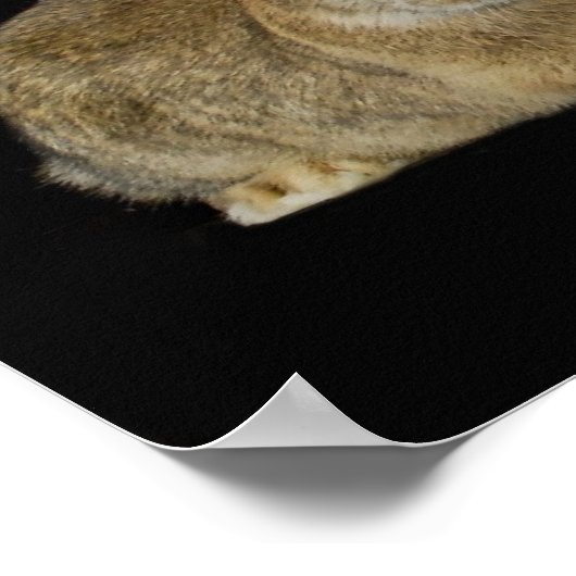 最高の友 ポスター (角)