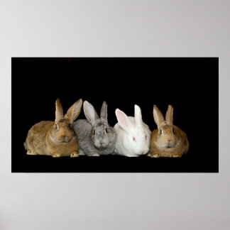 最高の友 ポスター