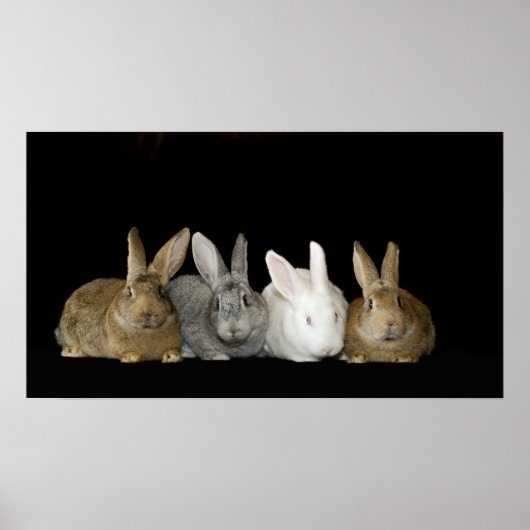 最高の友 ポスター (正面)