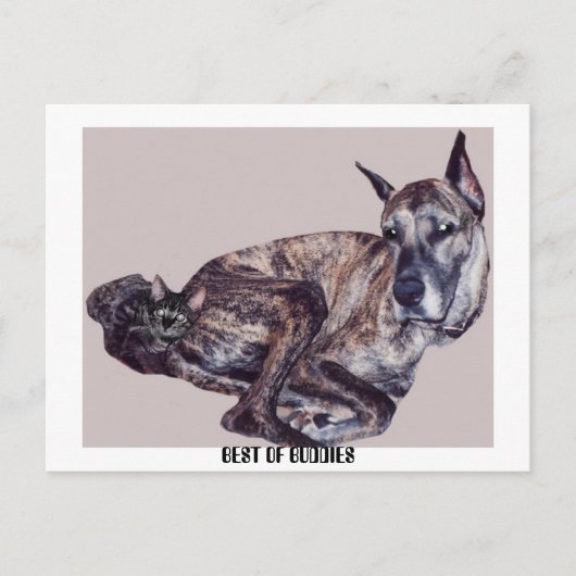 最高の友 ポストカード (正面)