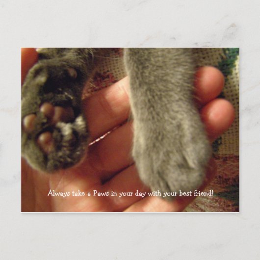 最高の友 ポストカード (正面)