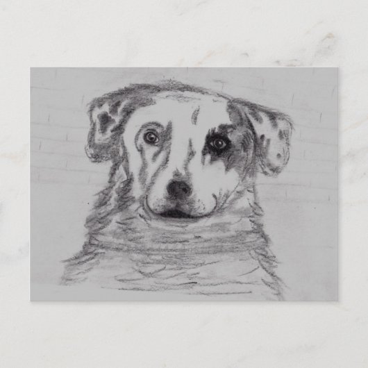 最高の友 ポストカード (正面)