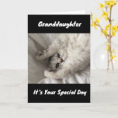 ***最高の娘***カードに対する今までの誕生日 カード (黄色い花)