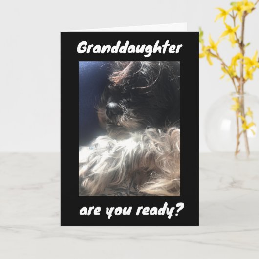 ***最高の娘***カードに対する今までの誕生日 カード (黄色い花)