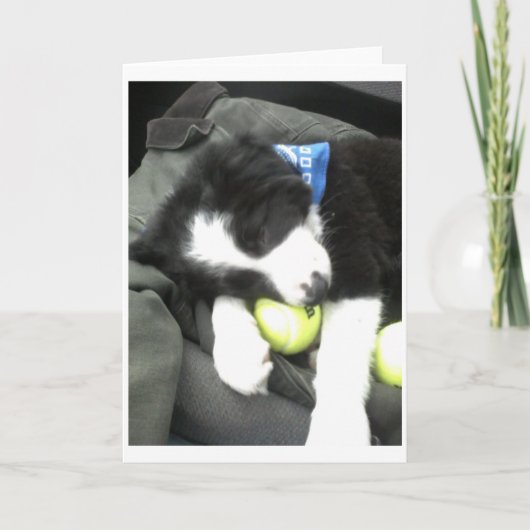 最高の子犬 カード (正面)