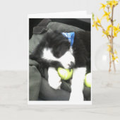 最高の子犬 カード (黄色い花)