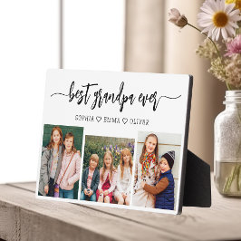 最高の孫フォトコラージュ フォトプラーク