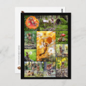 最高の小妖精や小人 ポストカード (正面/裏面)