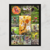 最高の小妖精や小人 ポストカード (正面)