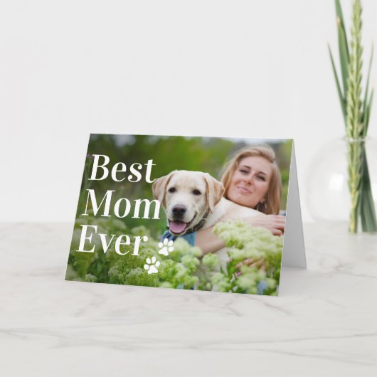 最高の母はモダン写真カスタム犬 シーズンカード (正面)