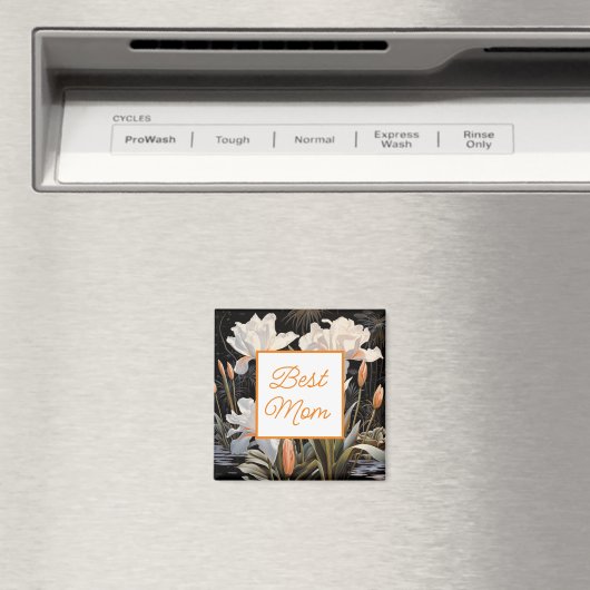 最高の母磁石 マグネット (インサイチュ (食洗機))