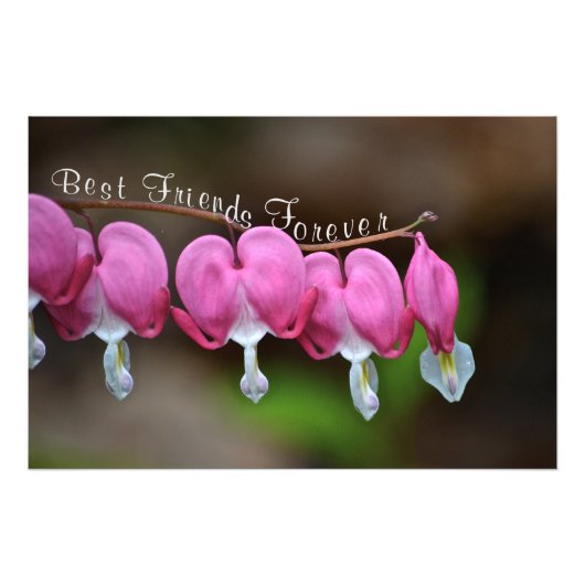 最高の永遠 フォトプリント            (正面)