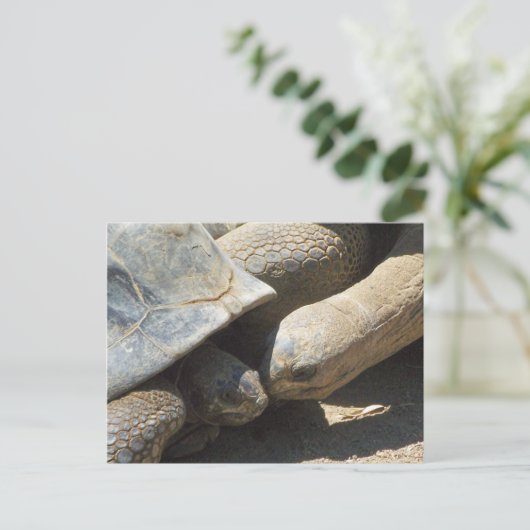 最高の永遠 ポストカード (スタンド正面)