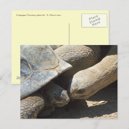 最高の永遠 ポストカード (正面/裏面)