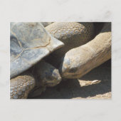 最高の永遠 ポストカード (正面)