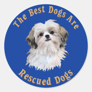 最高の犬が救出されるシーズー(犬)Tzu ラウンドシール