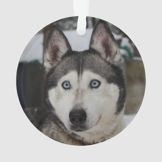 最高の犬のプレート 赤い格子縞 オーダーメイド オーナメント (裏面)