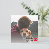 最高の犬の父さん フォト 父の日 誕生日 カード (スタンド正面)
