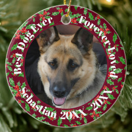 最高の犬カスタムネーム クリスマスペットギフト セラミックオーナメント
