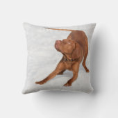 最高の犬 |写真パーソナライズされた装飾用クッション クッション (裏面)