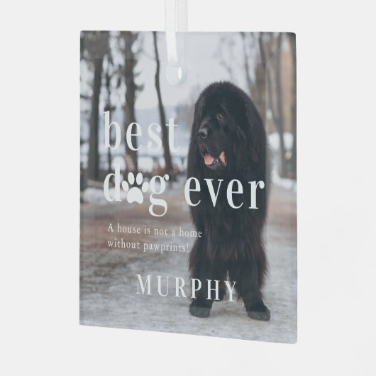 最高の犬 |引用文と写真ギフト ガラスオーナメント (正面左)