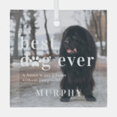 最高の犬 |引用文と写真ギフト ガラスオーナメント (正面)