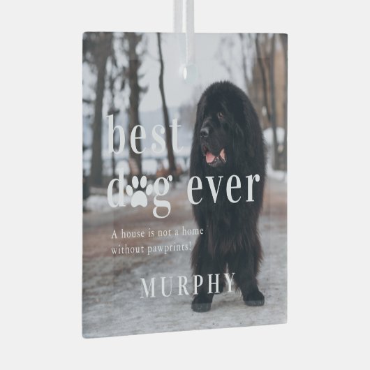 最高の犬 |引用文と写真ギフト ガラスオーナメント (正面右)