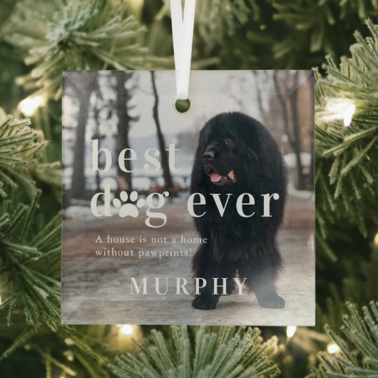 最高の犬 |引用文と写真ギフト ガラスオーナメント (インサイチュ)