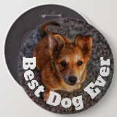 最高の犬 缶バッジ (正面&裏面)