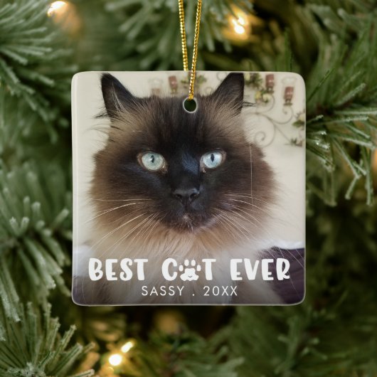 最高の猫の記念品 フォトプリント オーダーメイド セラミックオーナメント (ツリー)