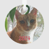 最高の猫の願い | 両面 オーナメント (裏面)