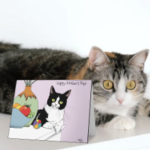 最高の猫ママ  かわいいタキシード猫 母の日