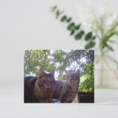 最高の芽 ポストカード (スタンド正面)