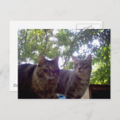 最高の芽 ポストカード (正面/裏面)