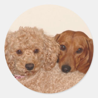 最高の芽 ラウンドシール