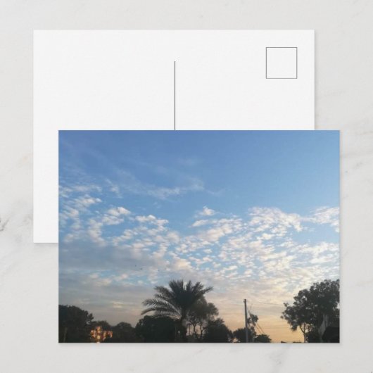 最高の葉書 ポストカード (正面/裏面)