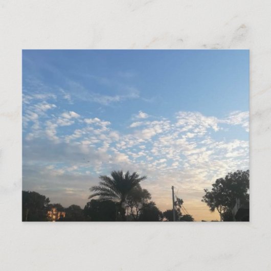 最高の葉書 ポストカード (正面)