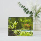 最高の願い ポストカード (スタンド正面)