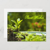 最高の願い ポストカード (正面/裏面)