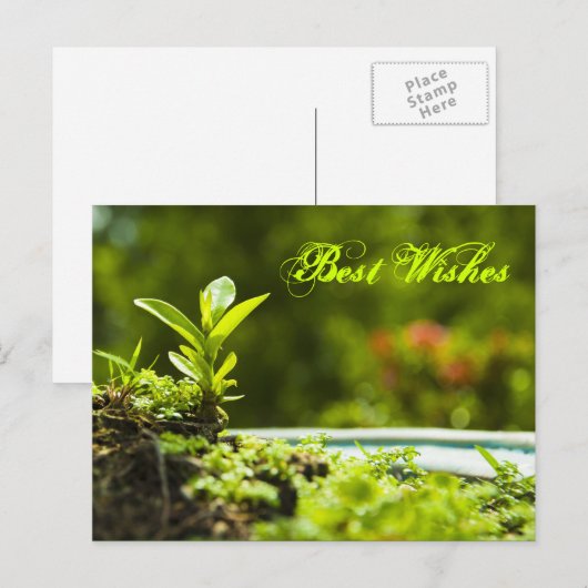 最高の願い ポストカード (正面/裏面)