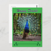 最高の願 ポストカード (正面/裏面)