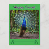 最高の願 ポストカード (正面)