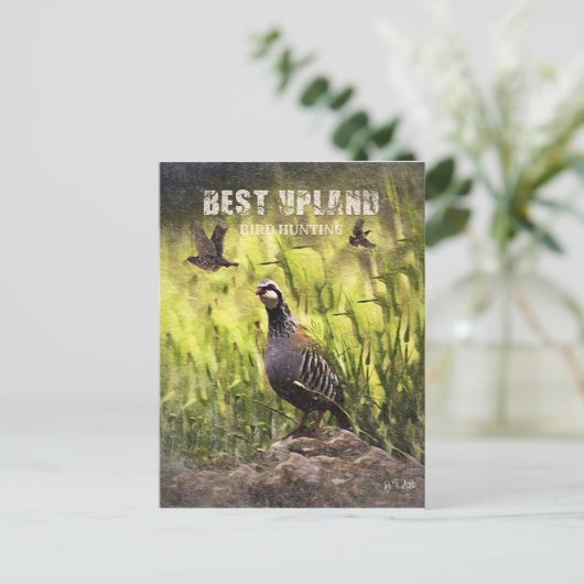 最高の鳥狩り ポストカード (スタンド正面)