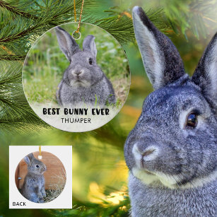 最高のBUNNY EVER Rabbit写真パーソナライズされた セラミックオーナメント