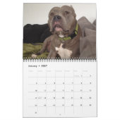 最高のFriend Dogs Calendar! カレンダー (1月 2027)