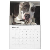 最高のFriend Dogs Calendar! カレンダー (3月 2027)