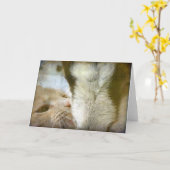 最高のFriends CatとGoatすべての行事 カード (黄色い花)