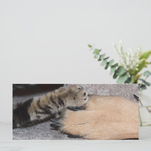 最高のFriends Forever by Shirley Taylor (スタンド正面)