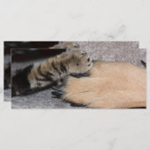 最高のFriends Forever by Shirley Taylor (正面/裏面)